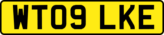 WT09LKE
