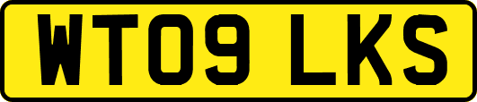 WT09LKS