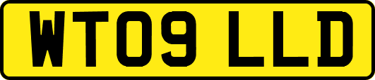 WT09LLD