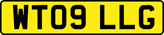 WT09LLG