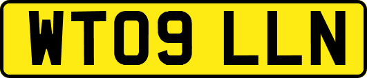 WT09LLN