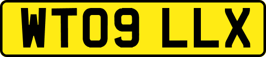 WT09LLX