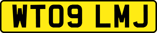 WT09LMJ