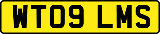 WT09LMS