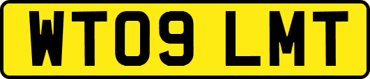 WT09LMT