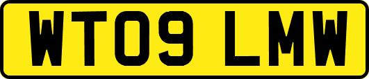 WT09LMW