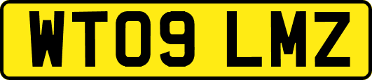 WT09LMZ