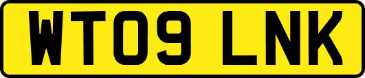 WT09LNK