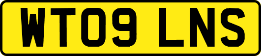 WT09LNS