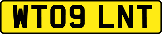 WT09LNT