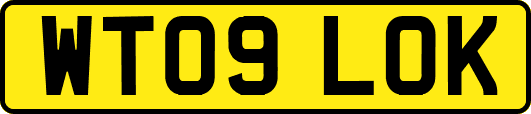 WT09LOK