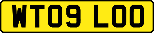 WT09LOO