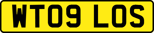 WT09LOS