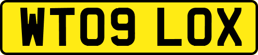 WT09LOX