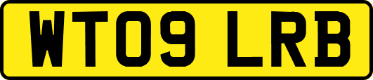 WT09LRB