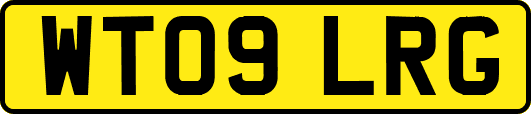 WT09LRG