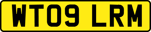 WT09LRM