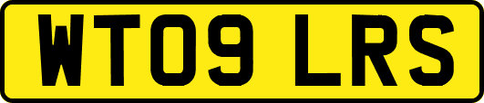 WT09LRS