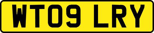 WT09LRY