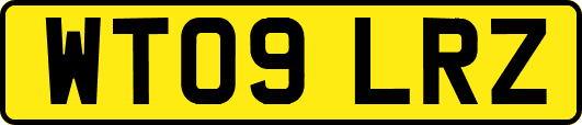 WT09LRZ