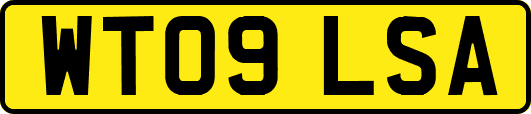 WT09LSA