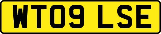 WT09LSE