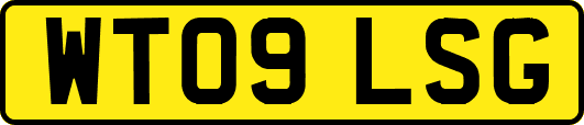 WT09LSG