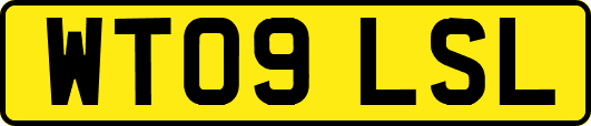 WT09LSL