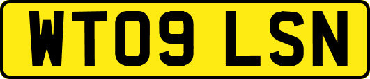 WT09LSN