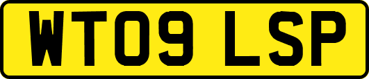 WT09LSP