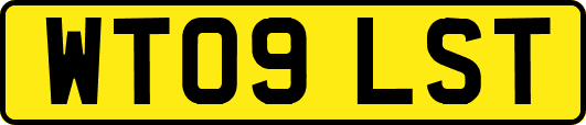 WT09LST