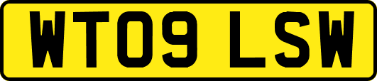 WT09LSW