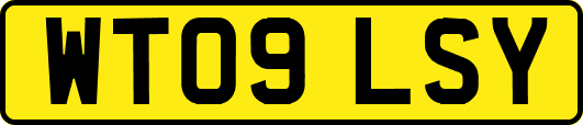 WT09LSY