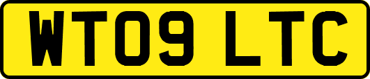 WT09LTC