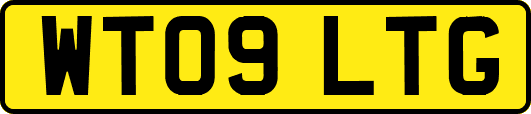 WT09LTG