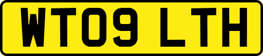 WT09LTH