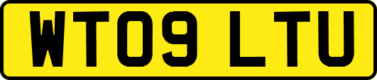 WT09LTU