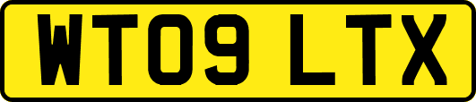 WT09LTX
