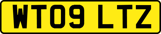 WT09LTZ