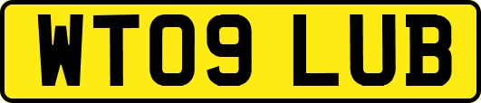 WT09LUB