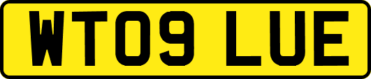 WT09LUE