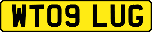 WT09LUG