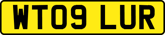 WT09LUR