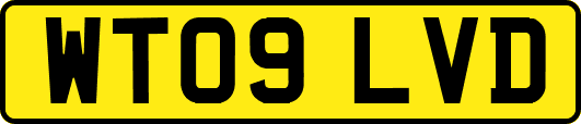 WT09LVD
