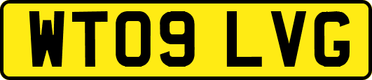 WT09LVG