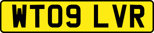 WT09LVR