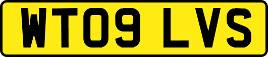 WT09LVS
