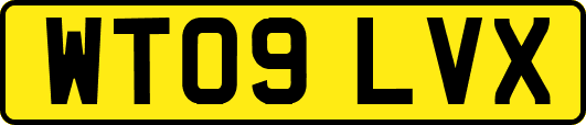 WT09LVX