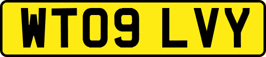 WT09LVY