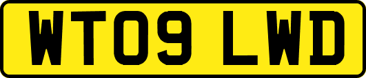 WT09LWD